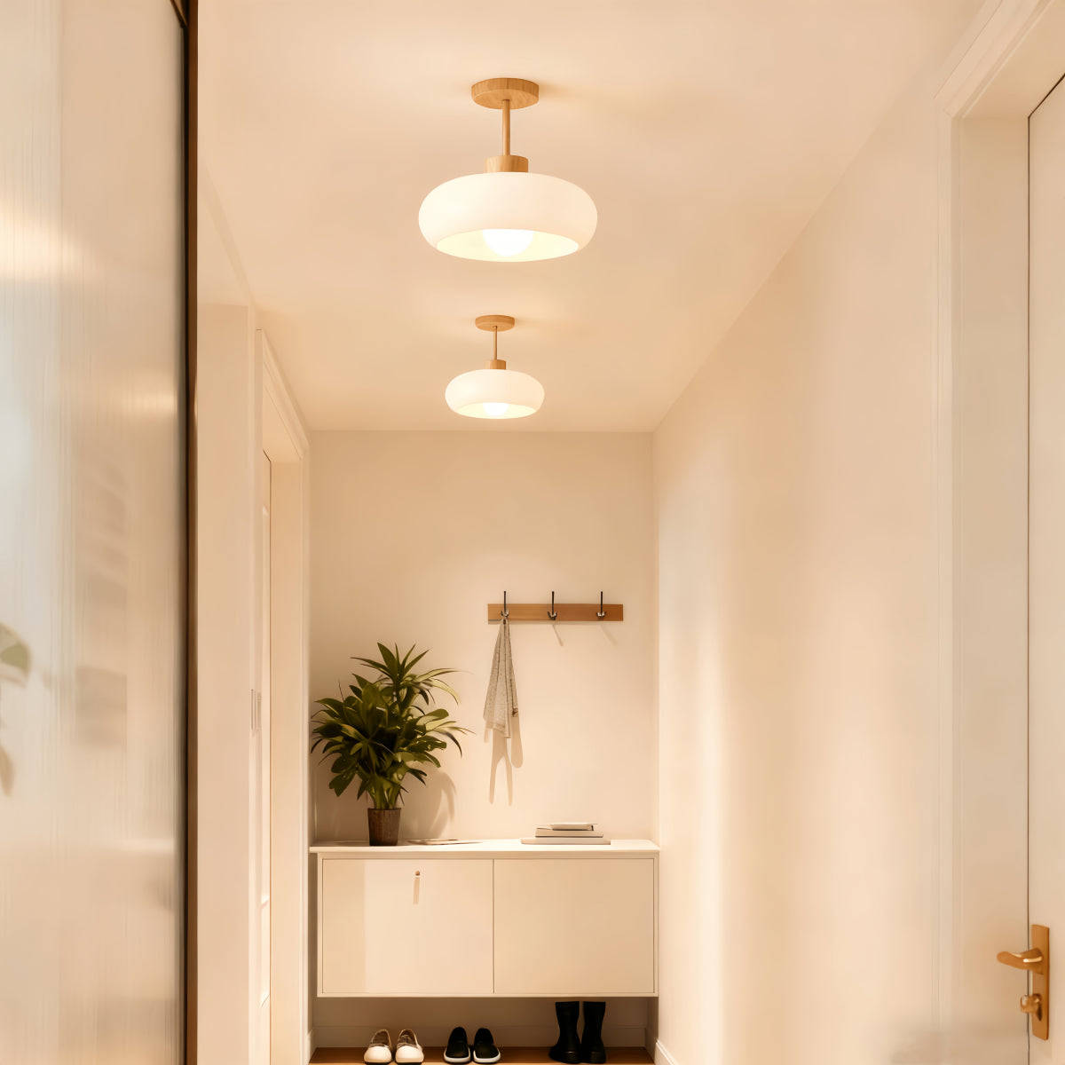 Modern Glass LED Ceiling Light